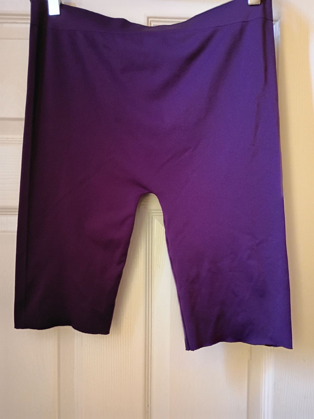2X Purple Stretch Shorts/Tights for Women